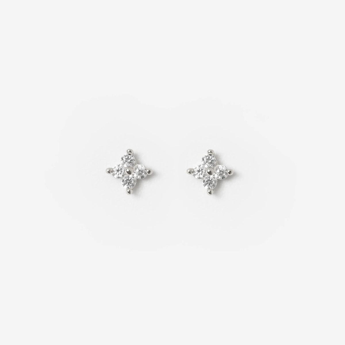 Blossom Lover Stud