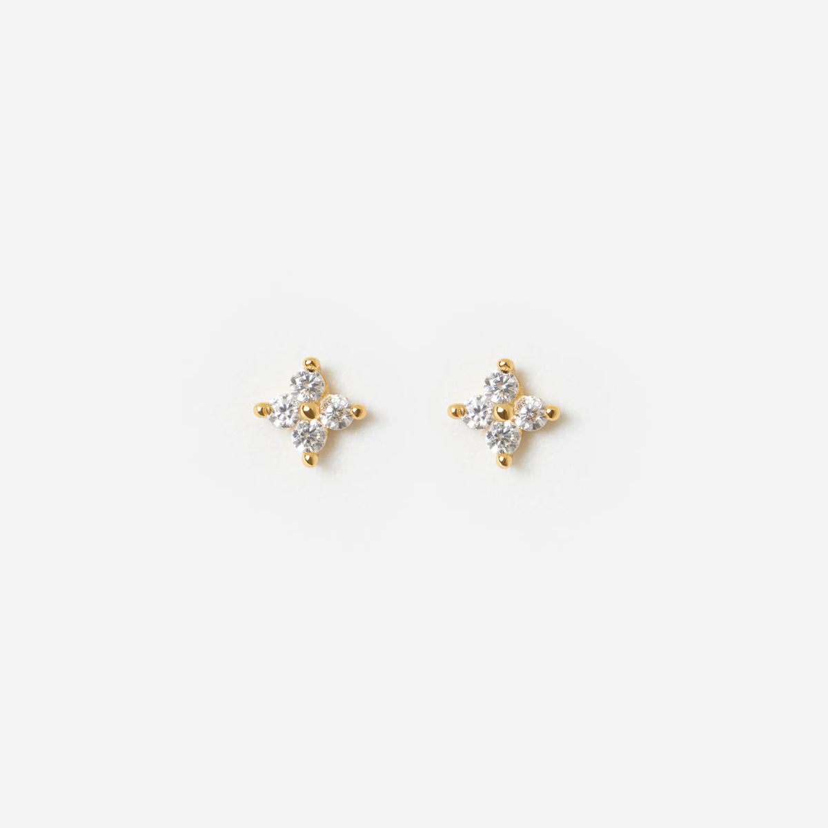 Blossom Lover Stud