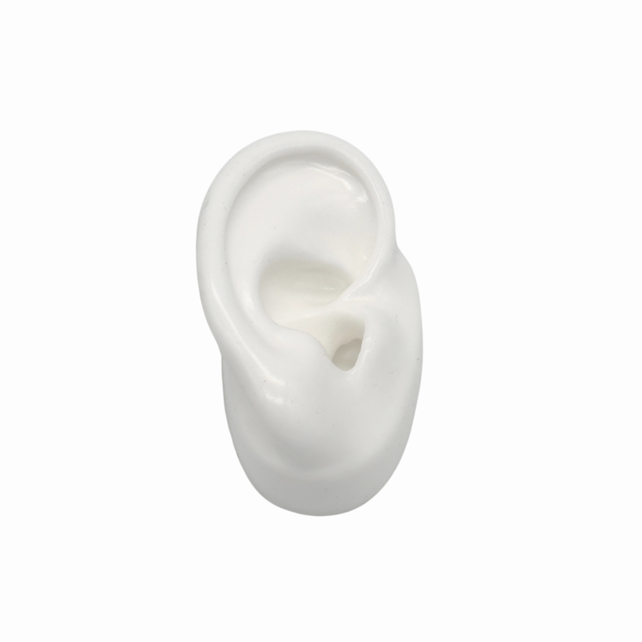 Silikonohr Display für Piercings
