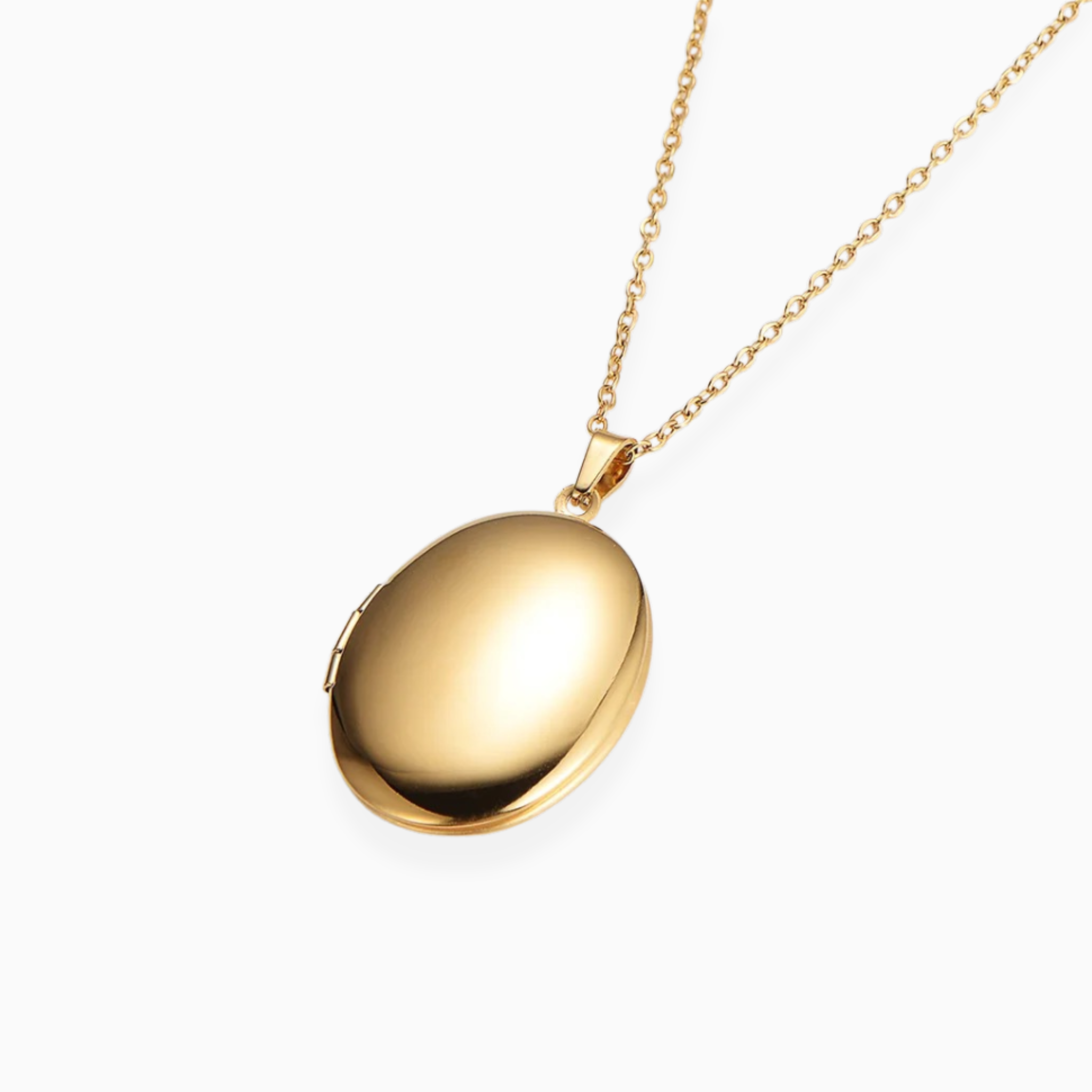 Medaillon Coin Privee Necklace