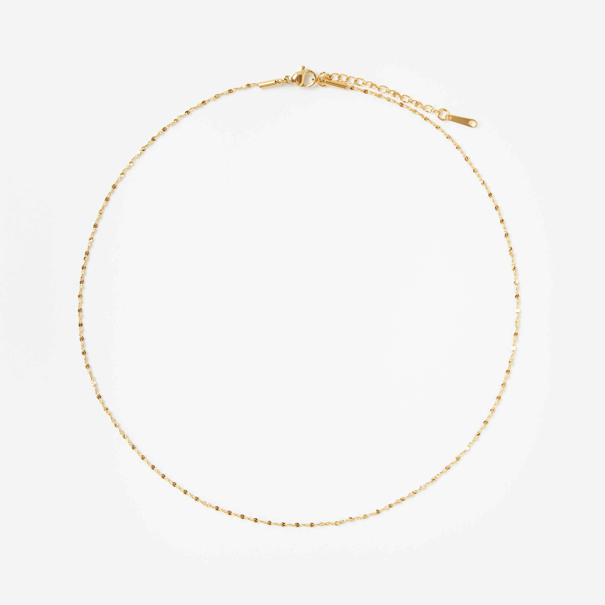 Shiny Necklace